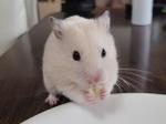 たろちゃん