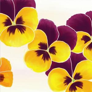 C_design