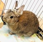ユキ