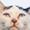 pussgrass49