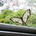 みとこん