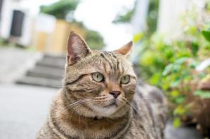 細かく地道なお仕事大好きです