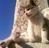 shao_mu