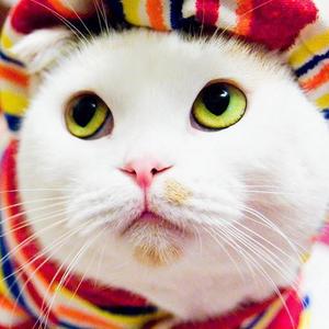 ゆきこ