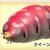 pyonta_41th