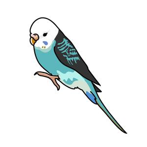 Tana