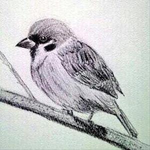 TAMOTSUクリエイター