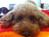 ryota_456