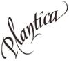 plantica