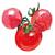 cotori_design