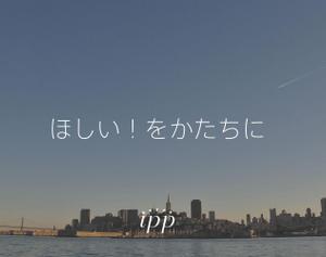 IPP Ltd.