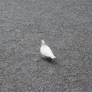 やまゆう