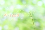 A-seed