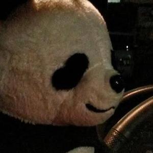 たけのこ