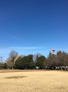 小百合