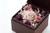 greenstone0544