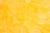 goldpaladin1228