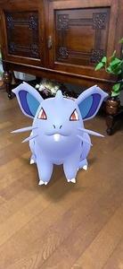 nidoran777