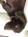 maru358_