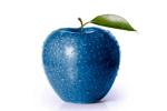 Blue apple DESIGN