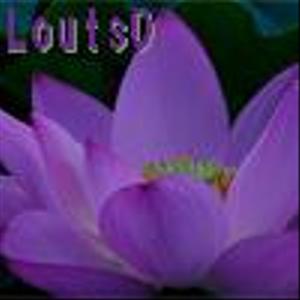 Lotus0