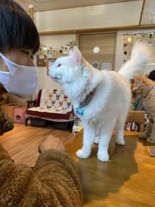 kazumasa1h0b1b4beatbox
