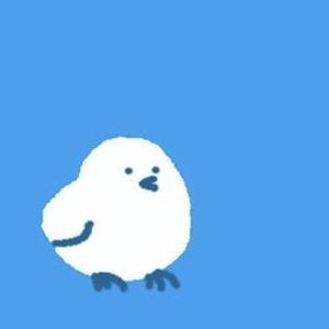 sumicco_sun
