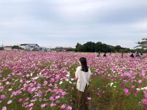 坂西あずさ