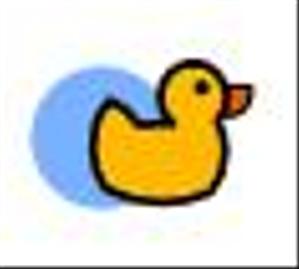 WebDuck