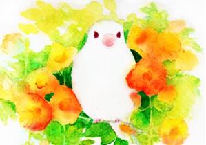 吉田紗也