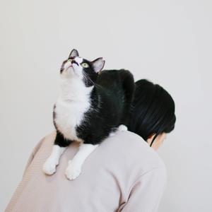 maru_design