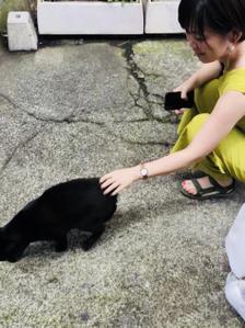 しおざわもえ