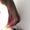 mayutomy