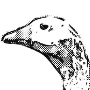 PuraPura