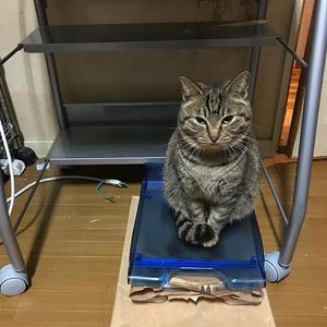 佐藤マサミ