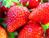 strawberrychoco8808
