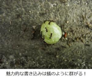 shin shin