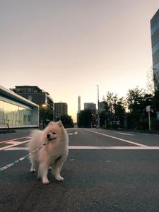ちあき