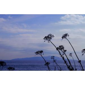 fifteen_j