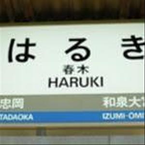 haruki