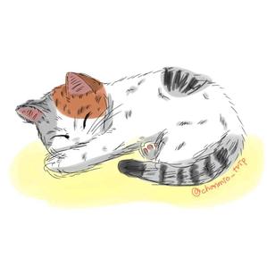 Satoshi