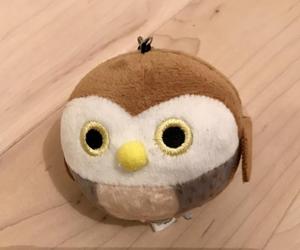 ちっちゃん