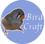 bird_craft