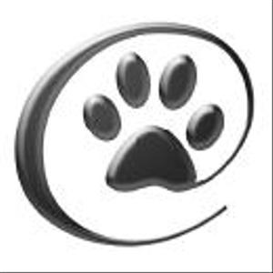 銀猫堂