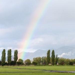 Regenbogen