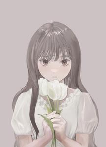 nuit(ニュイ)