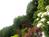 msy_07112