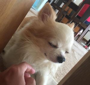 マツオカズキ