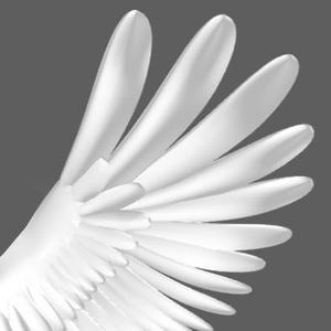 D_feather