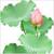 rleaf